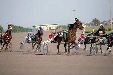 Harness Racing at Yonkers Raceway