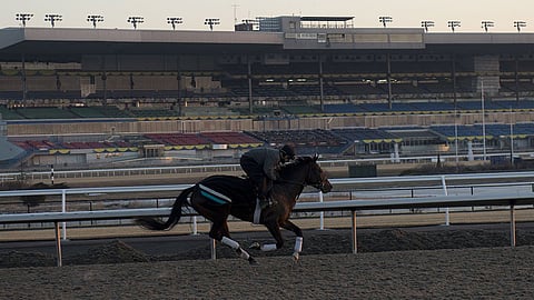 Training at Woodbine before opening day, April 20.
