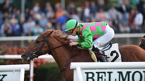 Therapist, seen here at Belmont in 2017, returns today for the Elusive Quality Stakes.