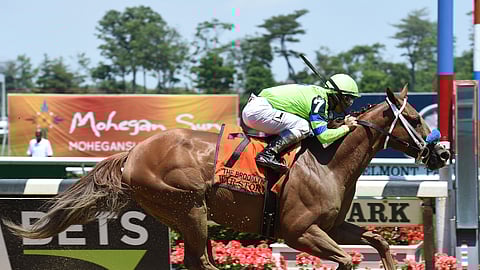 War Story won the Brooklyn Handicap at Belmont back in 2017. Today he runs in the Charles Town Classic and Chris Garrity likes his chances.