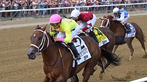 Call Paul, who won the Saratoga Special last August, races today in the Lyman Handicap at Parx.