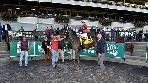 Bankit won the Sleepy Hollow at Belmont in October. Can he win the New York Stallion Stakes today at Aqueduct? McMudder thinks so.