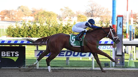 Racing at Aqueduct.
