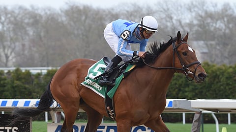 Newly Minted won the New York Stallion Stakes at Aqueduct