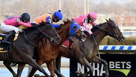 A horse named Refunded is running today at Parx so we decided to run a photo of Tax, wining at Aqueduct in the Withers in February. 