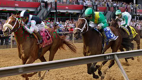 Point of Honor (8) with Javier Castellano aboard wins the Black Eyed Susan horse race at Pimlico on May 17 (Lauren Helber)