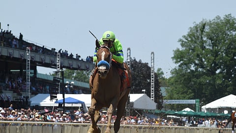 War Story, winning the Brooklyn at Belmont in June of 2017, runs today at Pimlico.