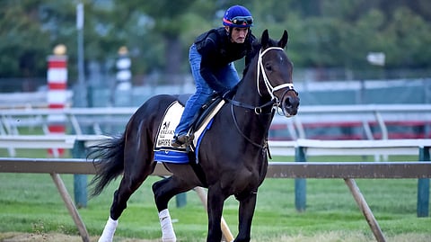 Warrior’s Charge exercises in preparation for the Preakness Stakes, Thursday, May 16, 2019, at Pimlico Race Course in Baltimore. The race is scheduled to take place Saturday, May 18. (AP Photo/Will Newton)