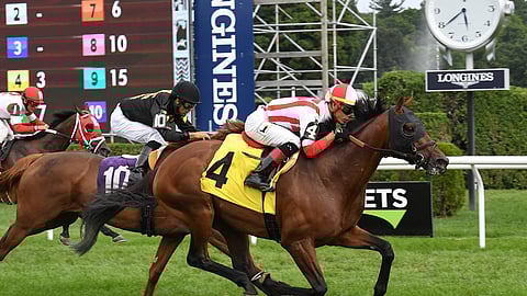 Focus Group, winning the John’s Call, last August at Saratoga.
