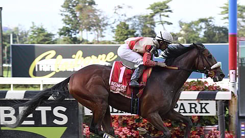 Rocketry won the Temperance Hill Stakes last September. Can he win the Flat Out Stakes at Belmont today?