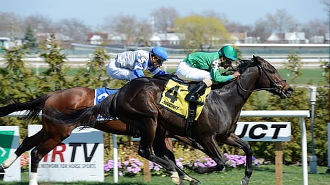 Vision Perfect, winning at Aqueduct back in 2015, runs today at Monmouth.