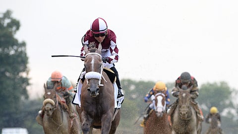 Jaywalk won The Frizette at Belmont in October as a 2-year old. Can She win the Kentucky Oaks?