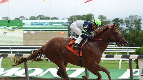 Giant Expectations, seen here running at Belmont in 2017, is back from the West Coast for the Commentator Stakes and trainer Peter Eurton has, dare we say it, giant expectations.