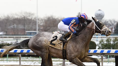 This Marconi probably won’t win a Nobel Prize but he may win Belmont’s Flat Out Stakes,