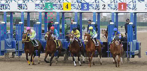 And they’re off . . . 