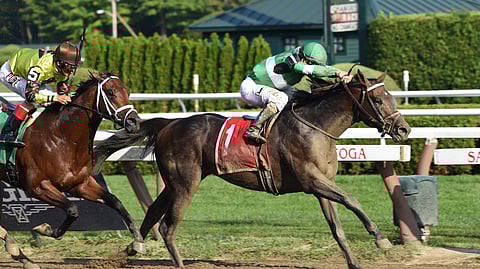 Exaggerator, seen here at Saratoga in 2015, is the last horse to run in the Belmont (2016) after winning the Preakness and losing the Kentucky Derby.