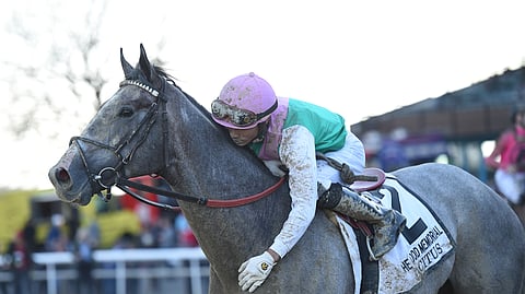 Tacitus won the Wood Memorial. RT doesn’t think he’s going to win the Belmont Stakes.