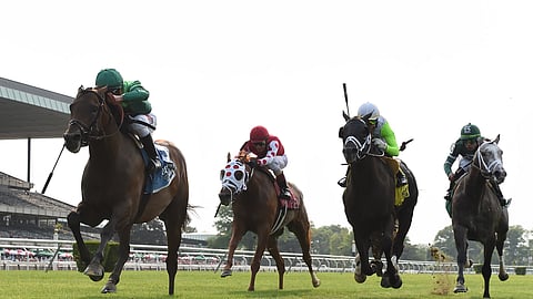 Turf racing at Belmont.