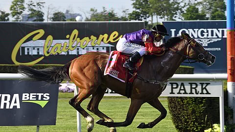 Call To Mind wins the 2018 Belmont Gold Cup (Viola jasko)