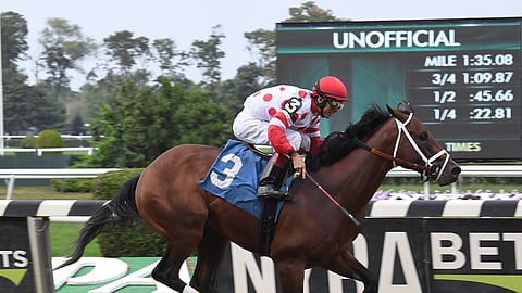 Can King for a Day upset Maximum Security at Monmouth?