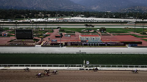 Horses finish the fourth race during the last day of the winter/spring meet at the Santa Anita horse racing track Sunday, June 23, 2019, in Santa Anita, Calif. (AP Photo/Chris Carlson)