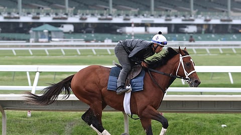 Maximum Security, ridden by exercise rider Edelberto Rivas, gallops during a workout at Monmouth Park, Thursday morning, June 13, 2019, in Oceanport, N.J. Maximum Security will make his next start in Sunday’s $150,000 Pegasus Stakes horse race at the track. (Bill Denver/EQUI-PHOTO via AP)