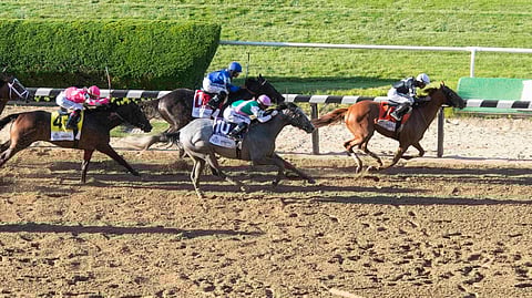 Sir Winston (7), with Joel Rosario up, pulls ahead of the pack on the final stretch to win the Belmont Stakes on June 8 (Mary Altaffer)