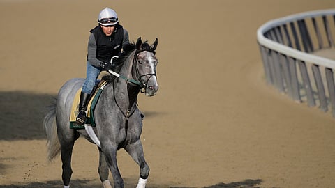Exercise rider Joe Ramos rides Tacitus during a workout at Belmont Park in Elmont, N.Y., Friday, June 7, 2019. The 151st Belmont Stakes horse race will be run on Saturday, June 8, 2019. (AP Photo/Seth Wenig)  