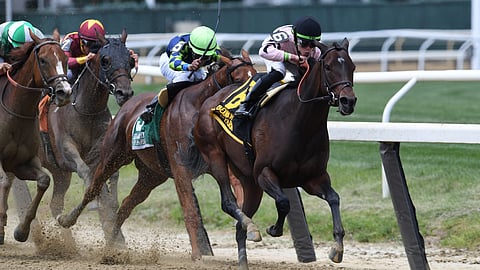 Lewis Bay heads for home in winning the 2018 Bed O’Roses Stakes at Belmont Park (Robert Mauhar)