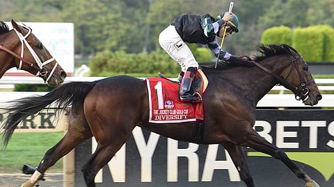 Jockey Irad Ortiz rides Diversify to the 2017 Jockey Club Gold Cup victory (Susie Raisher)