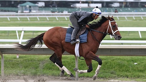 Maximum Security, ridden by exercise rider Edelberto Rivas, gallops during a workout at Monmouth Park on June 13. (Bill Denver/EQUI-PHOTO)