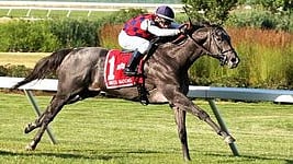 Funtastic wins the 2018 United Nations Handicap at 23-1