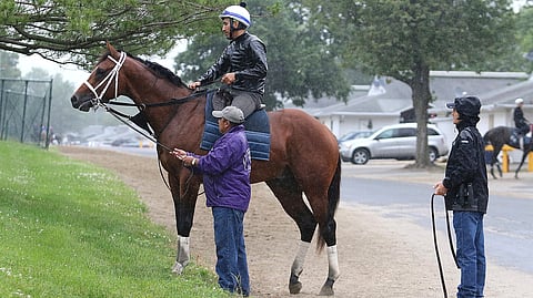 Maximum Security, ridden by exercise rider Edelberto Rivas, rests during a workout at Monmouth Park on June 13 (Bill Denver/EQUI-PHOTO)