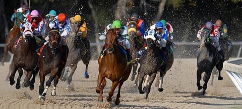 Thoroughbred Horse Racing
