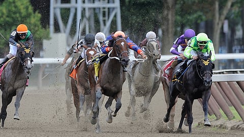 Horses head down the stretch at Saratoga