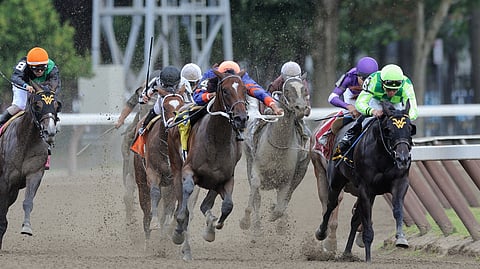 Horses head down the stretch at Saratoga
