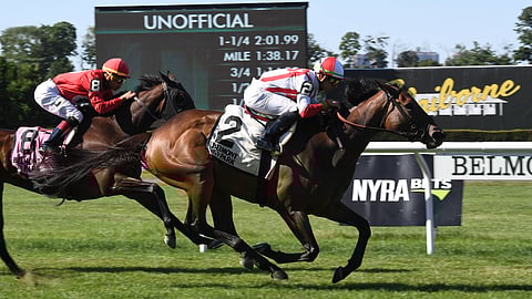 Homeland Security (2) passes Savannah Belle in the homestretch to capture the 2018 River Memories Stakes at Belmont Park