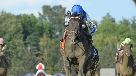 Elate, winning the Alabama.