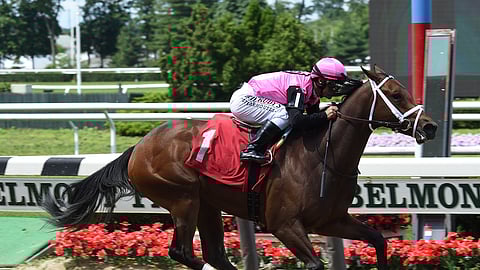 Fierce Lady runs today in the Stillwater Stakes in Saratoga.
