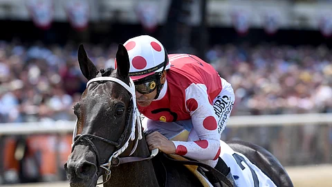 Midnight Bisou, in the Ogden Phipps in June, will be a heavy favorite today in the G3 Molly Pitcher at Monmouth.