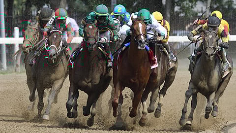 Promises Fulfilled (red saddle cloth) heads to victory in the H. Allen Jerkens Stakes at Aqueduct on Aug. 25, 2018
