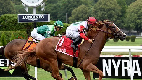 Regal Glory won the Lake George in July. Can she also win the Lake Placid? Garrity thinks so.
