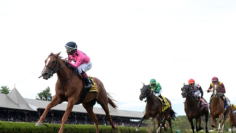 Got Stormy pulled away to win the FourStarDave at Saratoga on August 10, 2019.