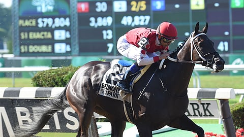 Midnight Bisou, where she usually is, in front, races today at Belmont.