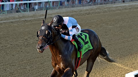 Blink and you may miss him. The speedy Shancelot runs against Omaha Beach today at Santa Anita.