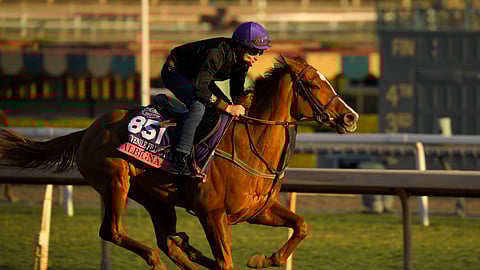 Albigna, entered in the the Juvenile Fillies Turf horse race, works out on the track at Santa Anita Park for the Breeders' Cup, Thursday, Oct. 31, 2019, in Arcadia, Calif. (AP Photo/Mark J. Terrill)