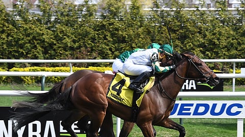 Feel Glorious running in April at Aqueduct.