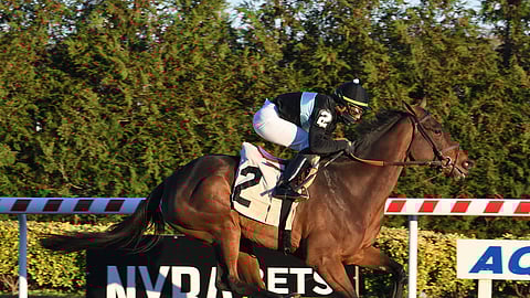 Altea, trained by Chad Brown, is Garrity's pick int he 4th race at Saratoga.