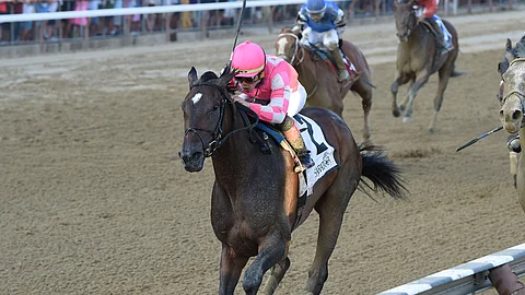 Tax, winning the Jim Dandy, runs today in the Pegasus World Cup, but Chris Garrity is picking a longshot.