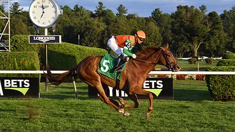 Magic Star races at Gulfstream Park.